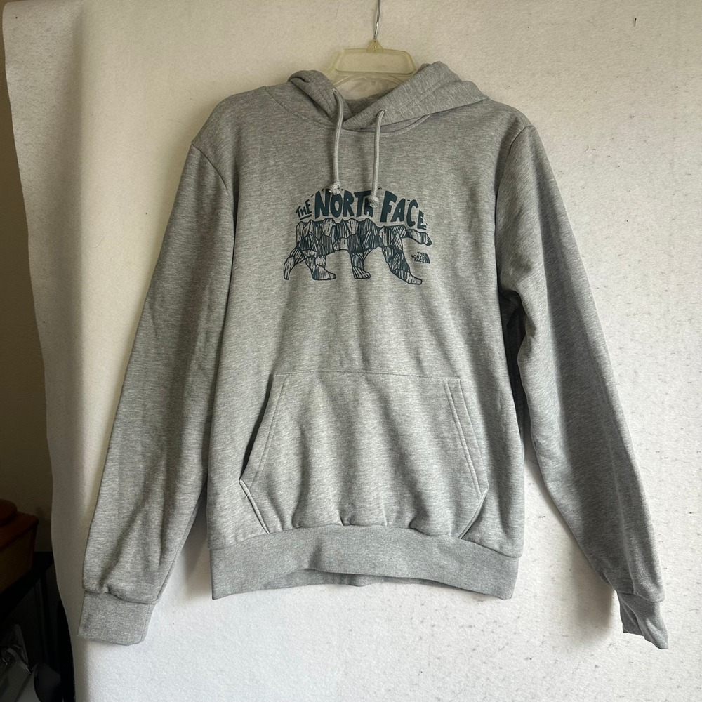 The North Face Mens Circular Design Bear Mountain Graphic Hoodie Gray Small‎
